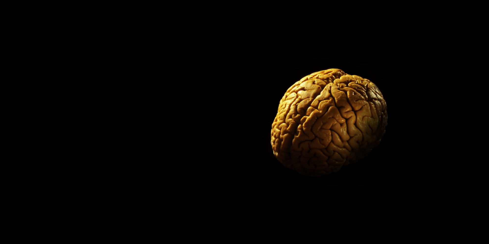 Больцмановский мозг